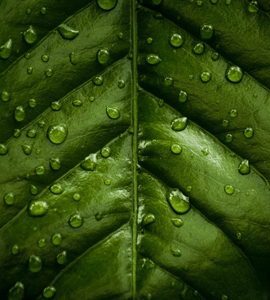 Embrace the art of meditation to become a healthier, happier individual