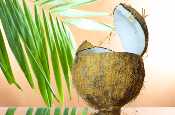 Coconut Oil Health Benefits for Diet, Skin, and Hair