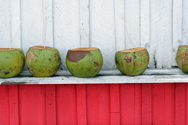 coconutwater 4 Reasons Why Coconut Water is Better for You Than Sports Drinks