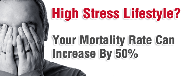 High Stress Lifestyle? Your Mortality Rate Can Increase By 50% High Stress Lifestyle? Your Mortality Rate Can Increase By 50%