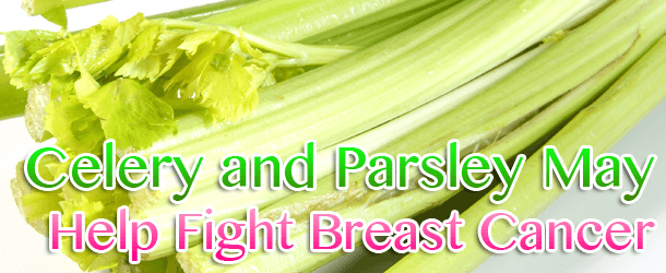 Celery and Parsley May Help Fight Breast Cancer Celery and Parsley May Help Fight Breast Cancer