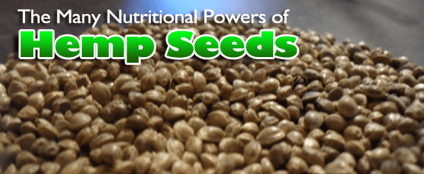 The Many Nutritional Powers of Hemp Seeds The Many Nutritional Powers of Hemp Seeds