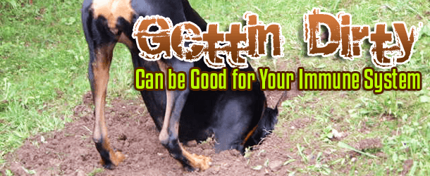 Gettin’ Dirty Can be Good for Your Immune System Gettin' Dirty Can be Good for Your Immune System