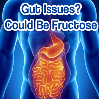 Doc: Gut Problems in Americans Caused by Daily Fructose Overdosing Doc: Gut Problems in Americans Caused by Daily Fructose Overdosing