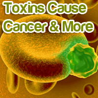Body Toxins Cause Cancer, Parkinson’s, Diabetes and More Body Toxins Cause Cancer, Parkinson's, Diabetes and more