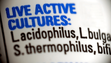 Not All Yogurts are Created Equal - Look for Live Active Cultures Not All Yogurts are Created Equal - Look for Live Active Cultures
