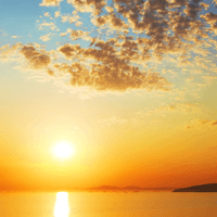 Vitamin D Proves as Alternative Treatment for Tuberculosis, Study Suggests Vitamin D Proves as Alternative Treatment for Tuberculosis, Study Suggests