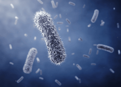 Probiotics Boost Antioxidant Effectiveness Probiotics Boost Antioxidant Effectiveness