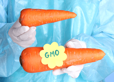 Doctor: Widespread Use of GMO Frankenfoods Unconscionable Doctor: Widespread Use of GMO Frankenfoods Unconscionable