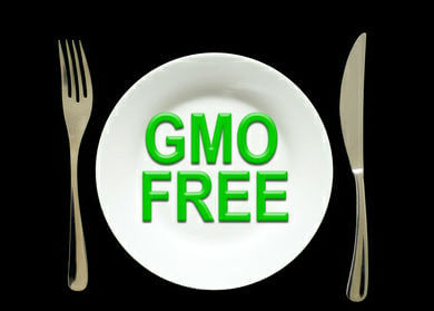 Monsanto Fails to Sell GMO Seeds in Europe