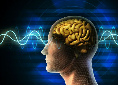 Your Brain on Gluten