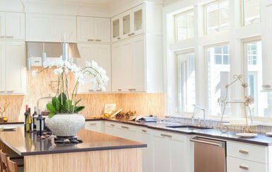 The 6 Places that Bacteria Hide in Your Kitchen