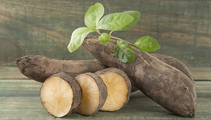 How To Poop More Often With Yacon