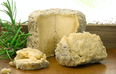 3 Moldy Foods You Can Eat