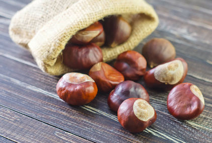 Chestnuts are an Excellent Source of Fiber and Healthy Fats