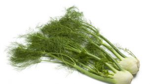 Health Benefits of Fennel and How to Use It