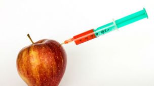 Is a Gentically Modified Non-Browning Apple on the Way?