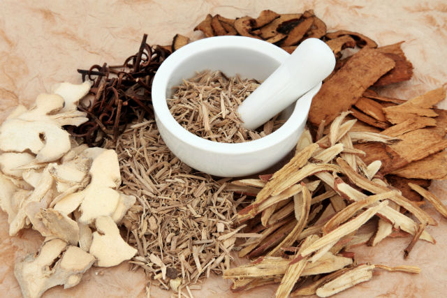 Astragalus is an Ancient Plant Root that Boosts Immunity
