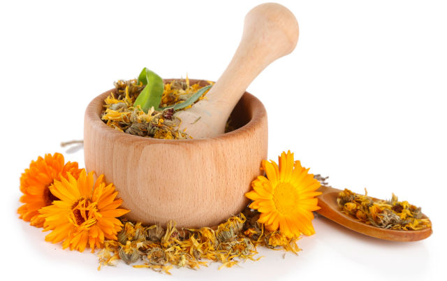 4 Uses for Calendula