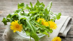 5 Ways to Enjoy Dandelions