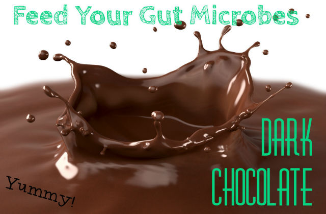 Dark Chocolate and Your Gut: The Final Verdict