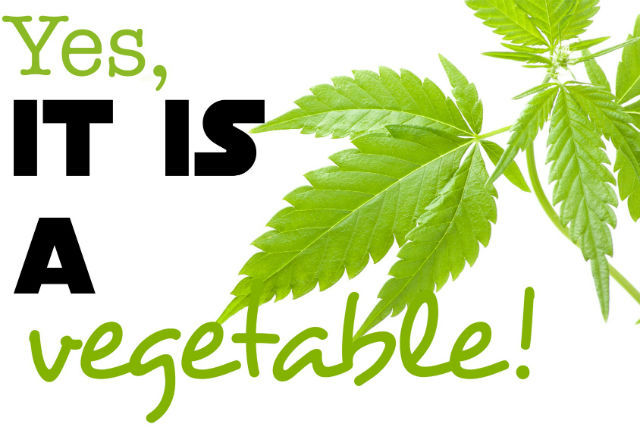 Why “Weed” is a Vegetable and Why Juicing it is Best
