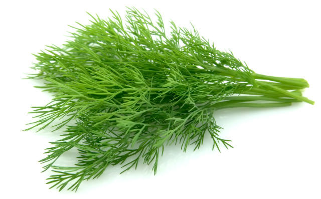 Ease Menstrual Pain with Fennel