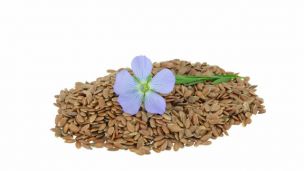 Phytoestrogens in Flaxseed May Halt Cancer
