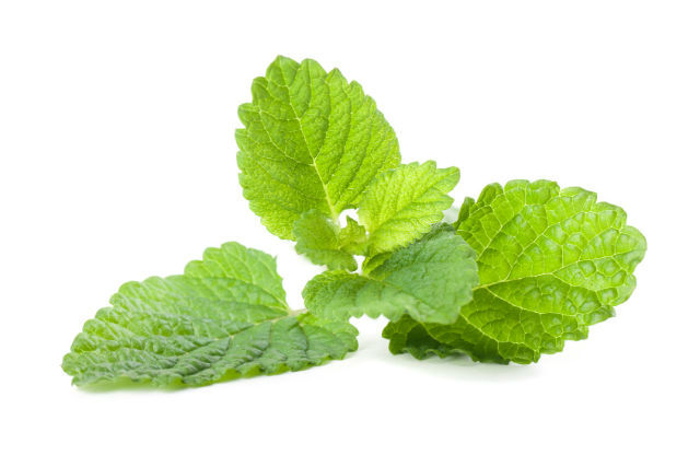 5 Creative Ways to Use Lemon Balm