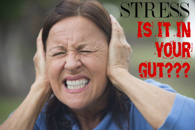 Feeling Anxious? Why Your Gut May be the Reason