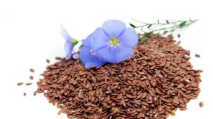 Work this Little Seed Into Your Diet for Amazing Health Benefits