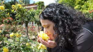 Stop and Smell the Roses…Literally