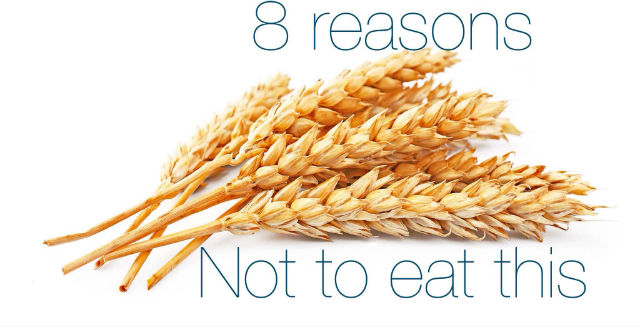 8 Reasons to NEVER Eat Wheat Again
