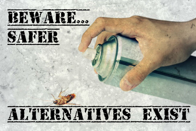 Toxic Bug Killers: More Harm than Good?