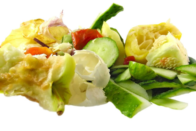 Plant Plastic: A New Way to Reuse Food Scraps