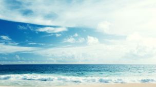 Florida Health Officials Issue Deadly Bacteria Warning