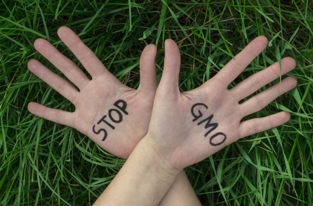 Yucatán Peninsula Rejects GMO Soybeans