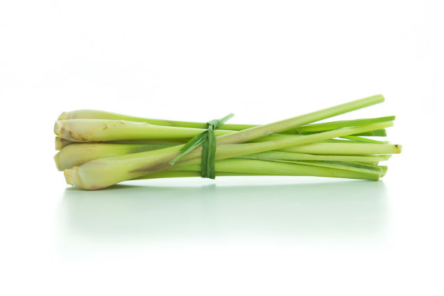 This Fragrant Stress-Busting Herb is Loaded with Antioxidants