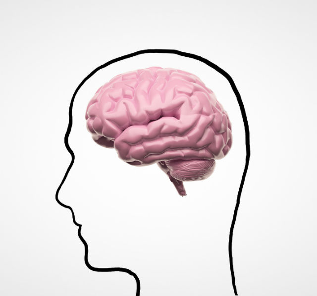 Eat These 2 “B” Foods for Optimal Brain Health