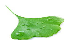 6 Natural Alternatives to the “Little Blue Pill”