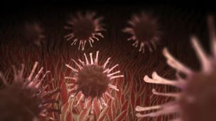 Study: Can Gut Bacteria Diversity Reduce Breast Cancer Risk?