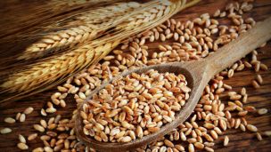 What is Non-Celiac Gluten Sensitivity?