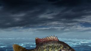 Cleanup Of Waterways Costly, But Benefits Outweigh the Expense