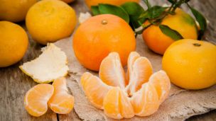 Tips for a Low Glycemic Christmas