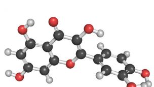 Study: Flavonoid-Rich Foods Linked to Lower Risk of Ovarian Cancer
