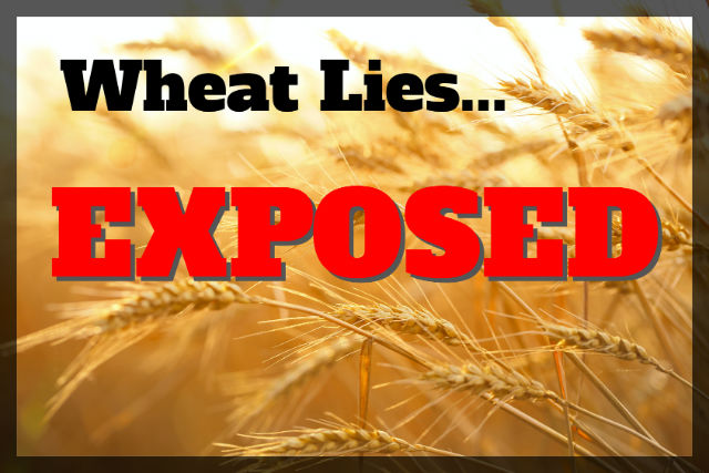 Are You High On Bread – Wheat Lies Exposed