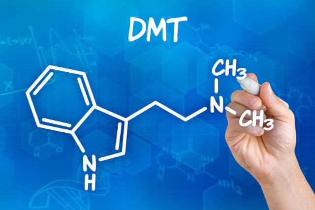 Is Ayahuasca the Next Medical Marijuana?