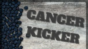 This Cancer Kicking Berry Also Dissolves Unwanted Fat