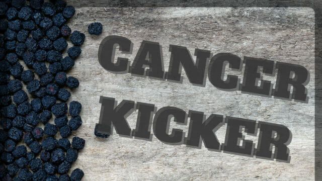Dried aronia berries on wooden background