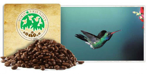 bird-friendly-picture-500x252